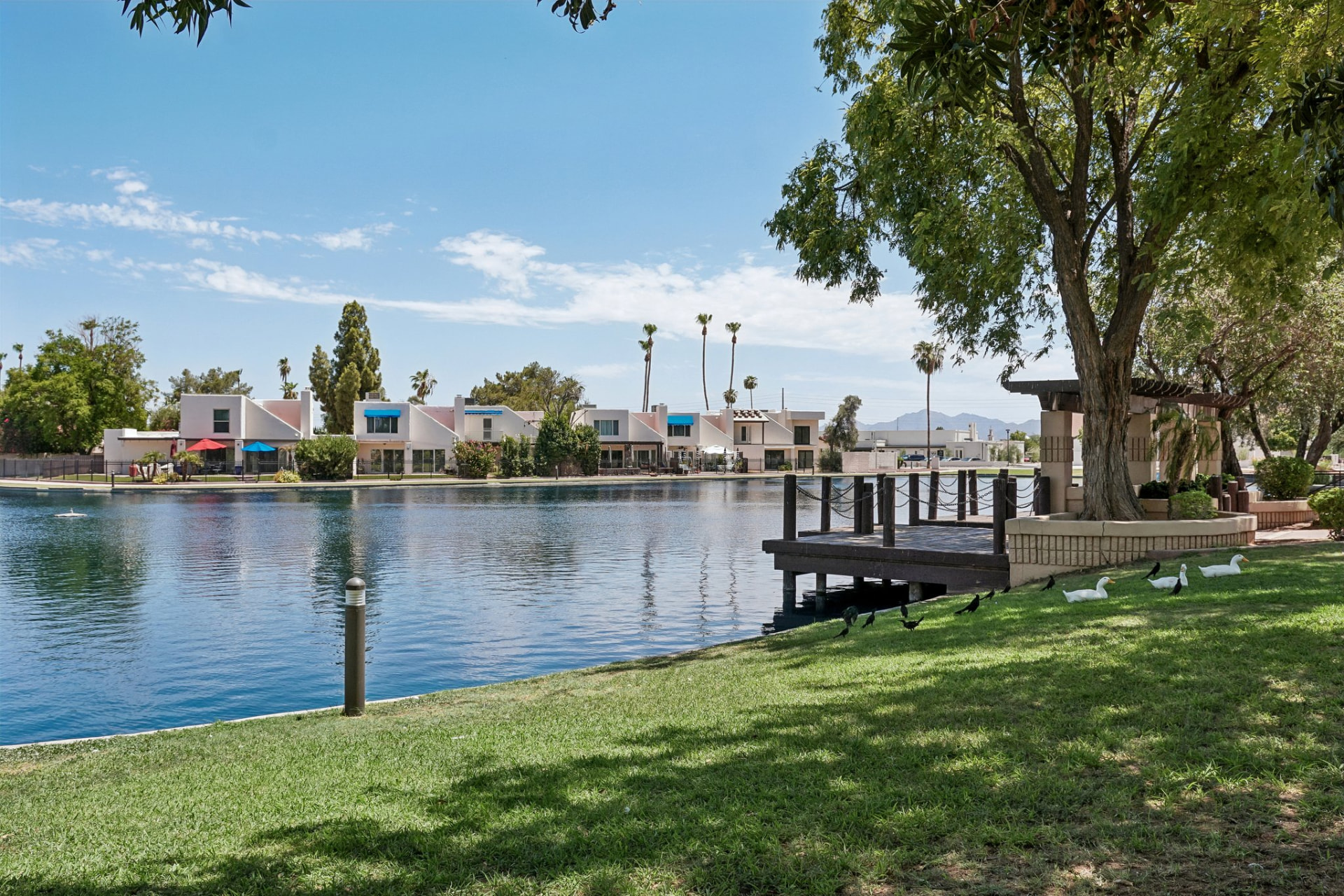 Lakefront park and greenbelt